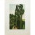 Green 1930s After Henri Rousseau, "At the Montsouris Park" First Edition Swiss Lithograph For Sale - Image 8 of 8