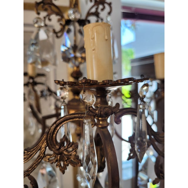 Rococo Revival Bronze and Crystal Chandelier, Late 19th–Early 20th Century For Sale - Image 14 of 18