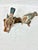 Wood Vintage Hand-Carved & Painted Wooden House Sparrow Bird Sculpture on Driftwood Base For Sale - Image 7 of 12