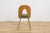 Mid-Century Modern Ash Veneer Dining Chairs by Antonín Šuman for Mier Topoľčany, Czechoslovakia, 1960s, Set of 4 For Sale - Image 12 of 18
