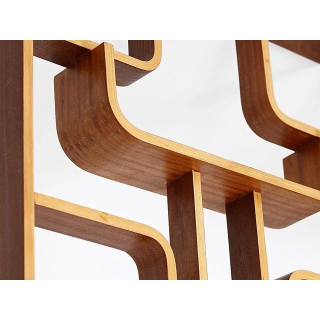 Mid-Century Divider by Ludvik Volak from Drevopodnik Holesov, 1960s For Sale - Image 9 of 10