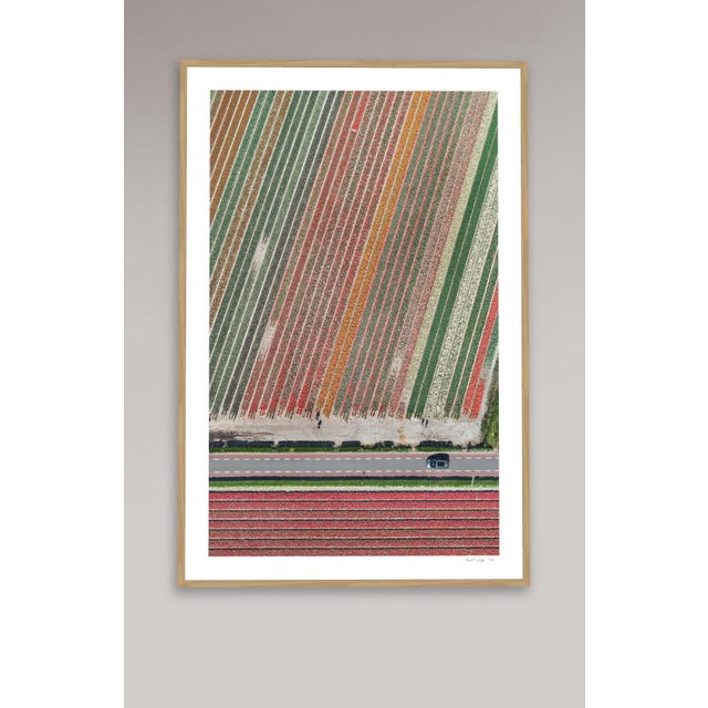 Edition Aerial Views Bernhard Lang Image: AV_Tulip_Fileds_010 Size B: 29,5 x 47,2 inches, 75 x 120 cm Captured in 2016 in...