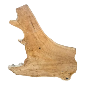 Organic Acacia Wood Slice