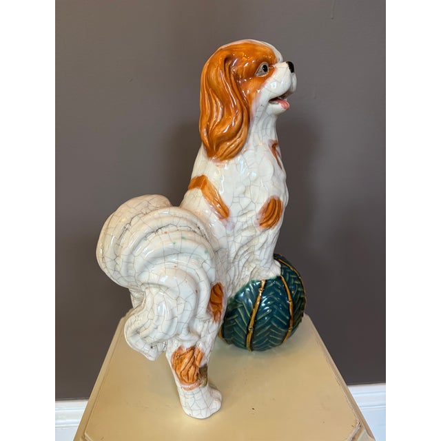 What a good boy! Or girl?! This Staffordshire King Charles Cavalier Spaniel makes the perfect companion, minus the vet...