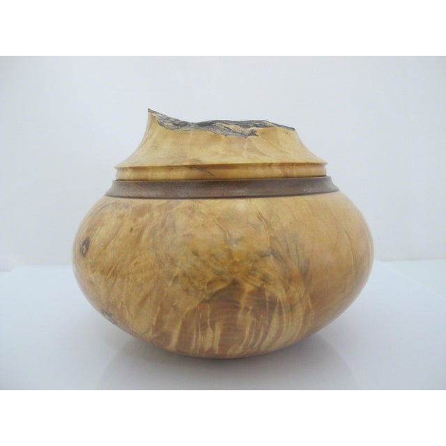 Brown Michael Mode Hand Turned Spalted Maple Burl Wood Live Edge Lidded Box Jar For Sale - Image 8 of 12