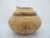 Brown Michael Mode Hand Turned Spalted Maple Burl Wood Live Edge Lidded Box Jar For Sale - Image 8 of 12