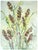 California Seascape, Botanical Study - Double Sided Mid Century Watercolor by Doris Warner For Sale - Image 4 of 6