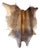 Large Beige and Brown Cowhide Rug For Sale
