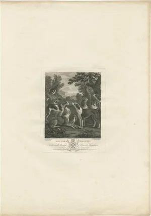 Boydell, Illustration of a Group of Hounds Looking Up at a Magpie, 1775, Print