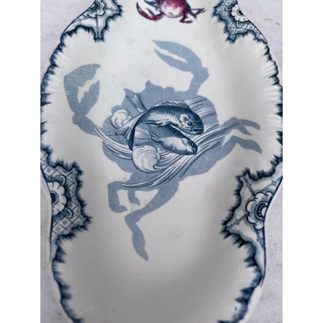 19th Century French Faience Dish Crab & Fishs Creil & Montereau For Sale - Image 4 of 5