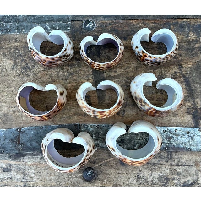 Vintage Sliced Shell Napkin Holders - Set of 8 For Sale - Image 9 of 12