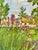 This Giclee print is of a Watercolor ink and wash painting of my Flowershop on Larkspur Hill. I sold homegrown flowers for...