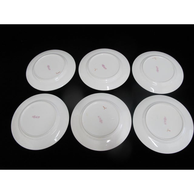 Royal Doulton Ito Smooth E2929 Exotic Song Bird 8" Salad Plate Set of 6 For Sale - Image 9 of 10