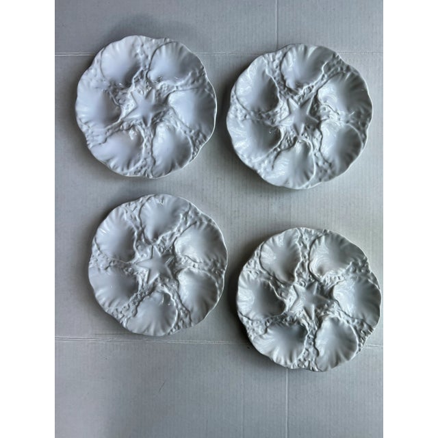White oyster plates with star decoration in the center. Could be hung on the wall or used to serve oysters. Combined...