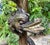 19th Century Venetian Gilded, Carved Wood Grotto Style Table For Sale - Image 9 of 12