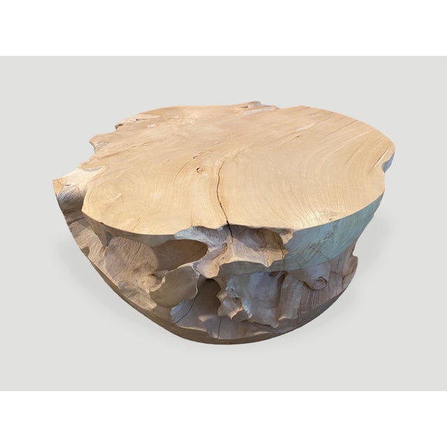 Andrianna Shamaris Impressive Bleached Teak Wood Coffee Table For Sale In New York - Image 6 of 18