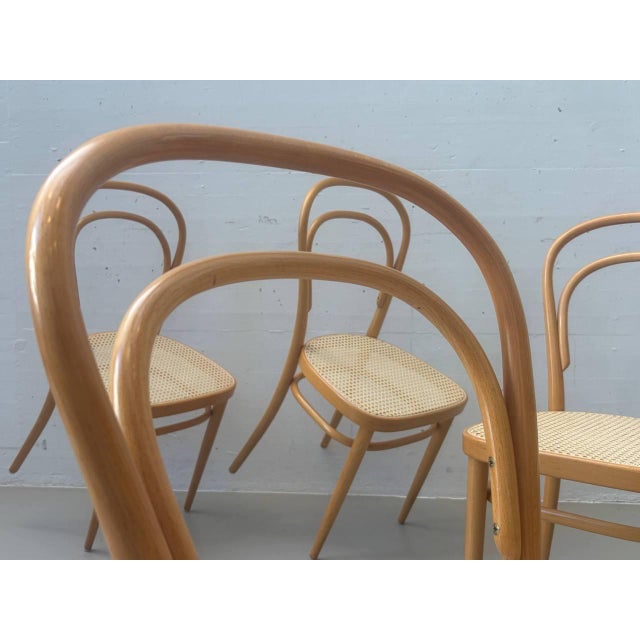 Wood Bentwood Chair with Viennese Caning by Michael Thonet for Wohnbedarf, 1960s For Sale - Image 7 of 18