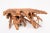 Naturel Teak Root Console Table, 55" Long Light Brown For Sale In Greensboro - Image 6 of 6