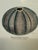 Paragon Echinus Esculentus I & II Art Prints, Set of Two For Sale - Image 4 of 12