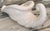 Antique White Mid-Century Studio Art Ceramic Cornucopia For Sale - Image 8 of 14