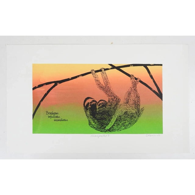 Contemporary Colorful Lithograph of 3 Toed Sloth and Baby For Sale - Image 4 of 4