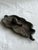 Art Nouveau Vintage Cast Iron Leaf With a Snail Catchall For Sale - Image 3 of 8