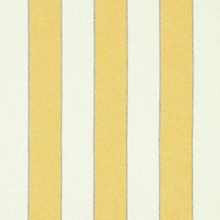 Schumacher Blumont Stripe Indoor & Outdoor Fabric in Yellow For Sale