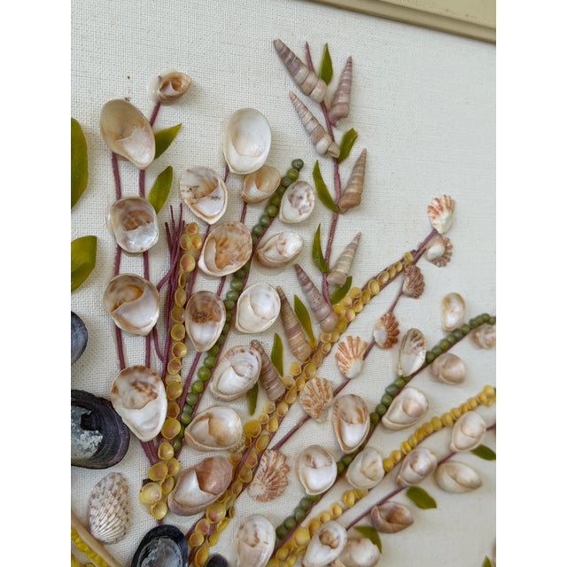 Sculpture Materials Vintage Coastal Mixed Media Seashell Floral Wall Art in Painted Frame For Sale - Image 7 of 12