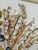 Sculpture Materials Vintage Coastal Mixed Media Seashell Floral Wall Art in Painted Frame For Sale - Image 7 of 12