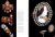 Paper "Rings: Symbols of Wealth, Power and Affection" 1993 Scarisbrick, Diana For Sale - Image 7 of 12