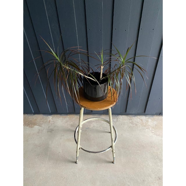 Industrial Steel Plant Stand / Stool / Nightstand Chairish