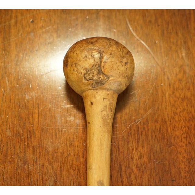 Antique Irish Knobkerrie Stick For Sale - Image 15 of 18