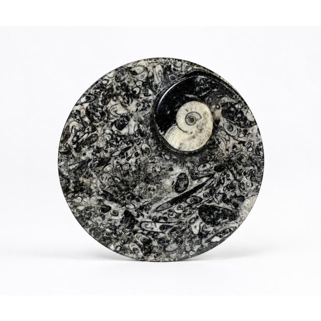 Pair Ammonite Plates Fossil Millions Years Natural Finely Crafted For Sale In Los Angeles - Image 6 of 13