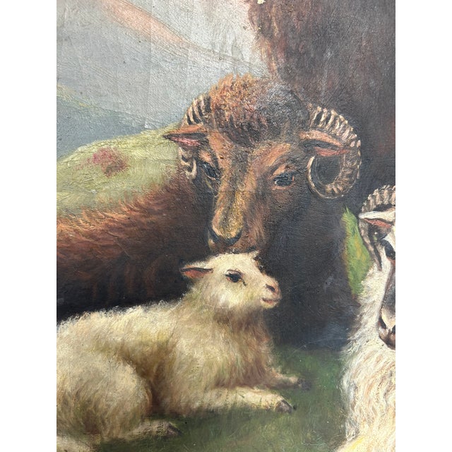 Robert Watson 19th Century Oil Painting of Scottish Highlands Sheep For Sale - Image 12 of 16