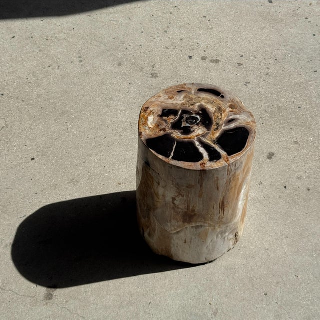 Multicoloured Petrified Wood Side Table For Sale - Image 15 of 16
