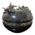 Artist Signed Hawaiian Sculptural Dragon Vessel For Sale
