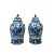 2020s Pair of Chinese Blue White Porcelain Flower Bird Graphic Temple Jars For Sale - Image 5 of 5