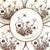 1970s 1970s Noritake “Desert Flowers” Stoneware Dinner Plates – Set of 7 For Sale - Image 5 of 12