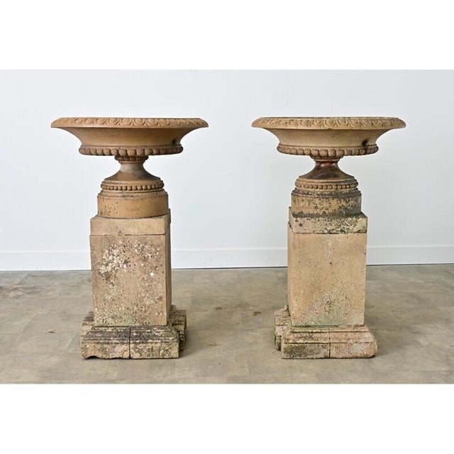 A magnificent pair of circa 1880 English garden urns in the form of tazzas, rising from heavy pedestals to install in the...