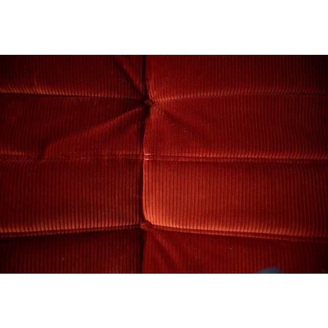 Amber Togo Two-Seater Sofa by Michel Ducaroy for Ligne Roset For Sale - Image 5 of 7