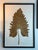 A large-scale framed botanical specimen — a single pressed leaf of remarkable size and presence, mounted on cream-toned...