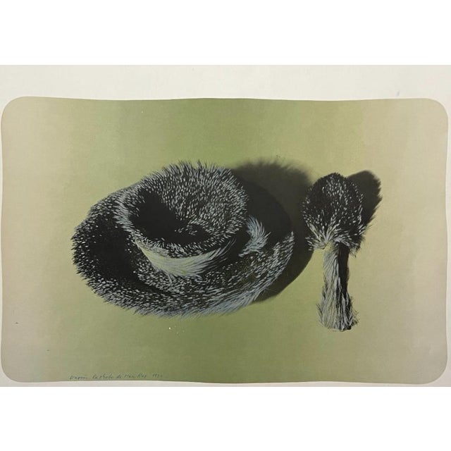Artist: Meret Oppenheim (Germany, 1913–1985) Year: 1971 Offset lithograph Signed and numbered in pencil Edition: 85/190...