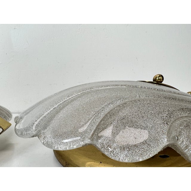 Ice Murano and Brass Shell Shapes Wall Lamps from Hillebrand, 1960s, Set of 2 For Sale - Image 16 of 18