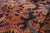 Late 19th Century Persian Malayer Rug, 07'02 X 18'11 For Sale In Dallas - Image 6 of 10