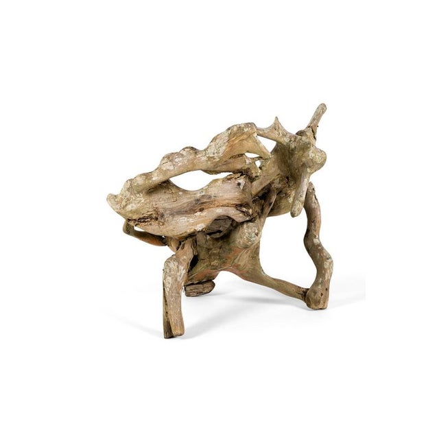 Wood Teak Root Wood Armchairs, Set of 2 For Sale - Image 7 of 17