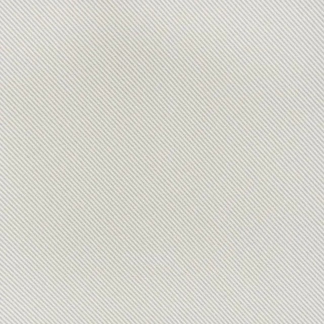 Schumacher Avenue Fabric in Ivory & Grey For Sale