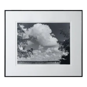 William L. Thomas Sanibel Island Silver Gelatin Photograph
