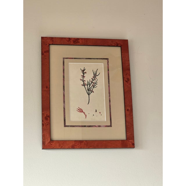 Late 20th Century Vintage Framed Botanical Prints After Curtis's Botanical Magazine, Set of 2 For Sale - Image 5 of 8