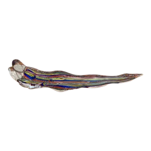 Vintage Signed Italian Murano Glass Rainbow Sculpture