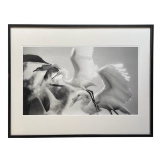 Large Scale Photo Print by Rosalie Winard For Sale